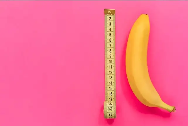 ukuran penis dalam konteks studi ilmiah tentang daya tarik seksual perempuan